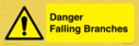 danger-falling-branches~